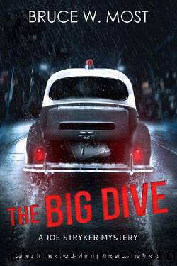 The Big Dive by Bruce Most