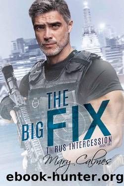 The Big Fix: Torus Intercession Book Five by Mary Calmes