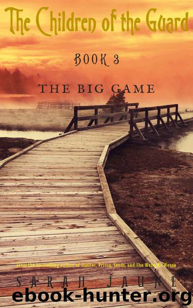 The Big Game by Sarah Jaune