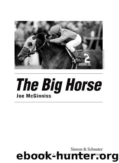 The Big Horse by McGinniss Joe