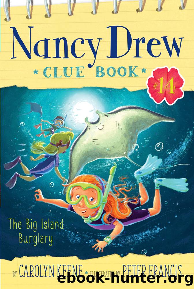 The Big Island Burglary by Carolyn Keene