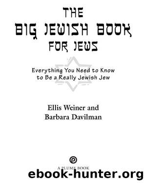 The Big Jewish Book for Jews by Ellis Weiner