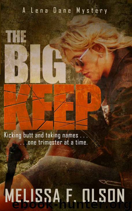 The Big Keep: A Lena Dane Mystery (Lena Dane Mysteries) by Melissa F. Olson