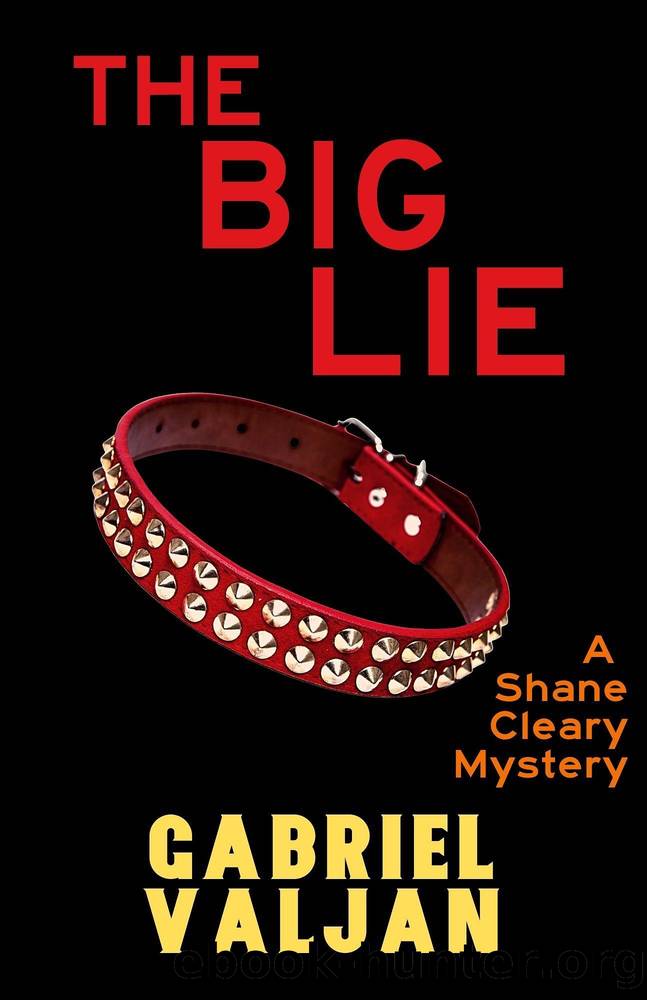 The Big Lie by Gabriel Valjan