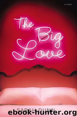 The Big Love by Sarah Dunn