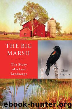 The Big Marsh by Cheri Register