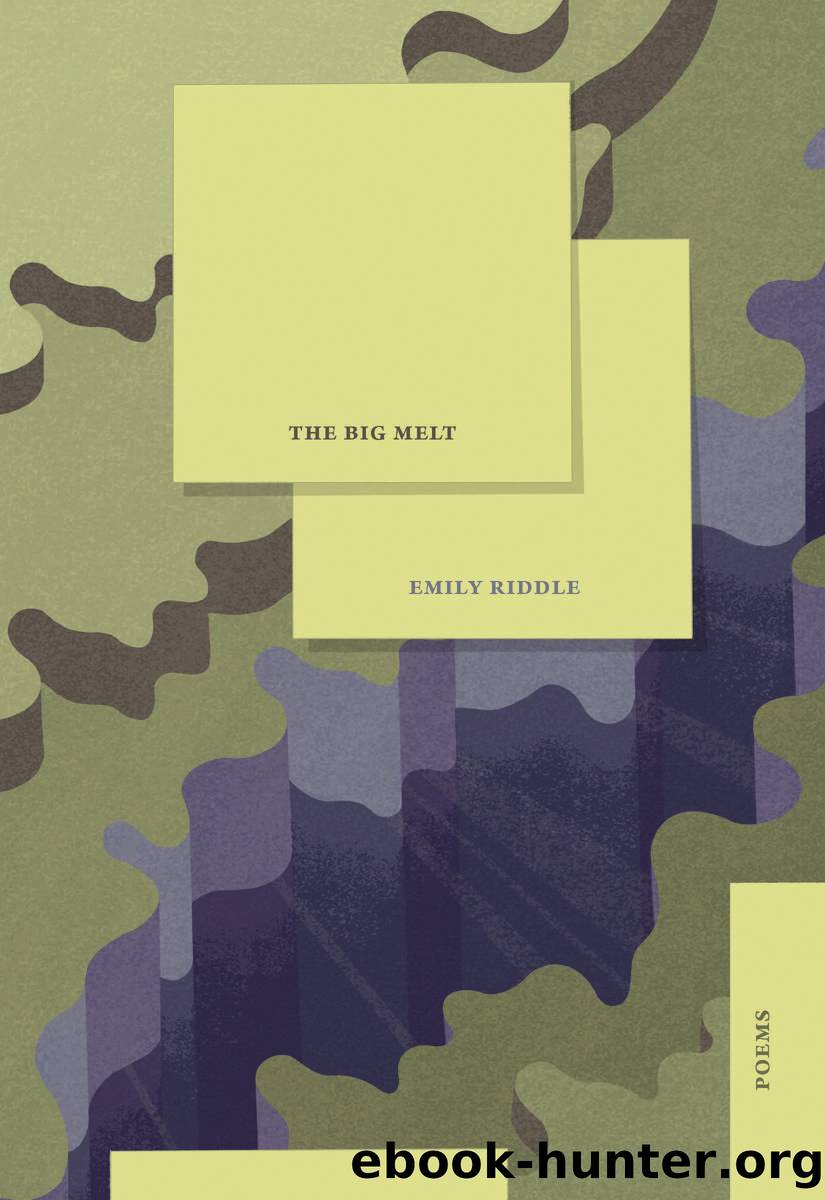 The Big Melt by Emily Riddle