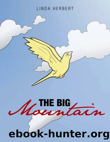 The Big Mountain by Linda Herbert