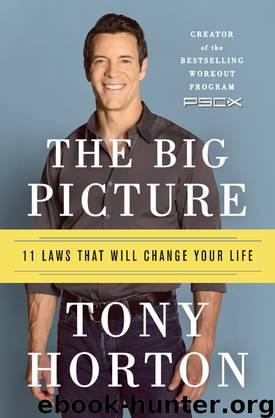 The Big Picture by Tony Horton