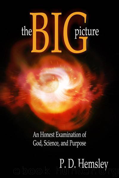 The Big Picture: An Honest Examination of God, Science, and Purpose by P. D. Hemsley