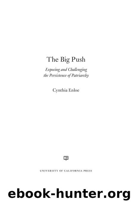 The Big Push by Enloe Cynthia;