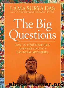 The Big Questions by Lama Surya Das