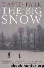 The Big Snow by David Park