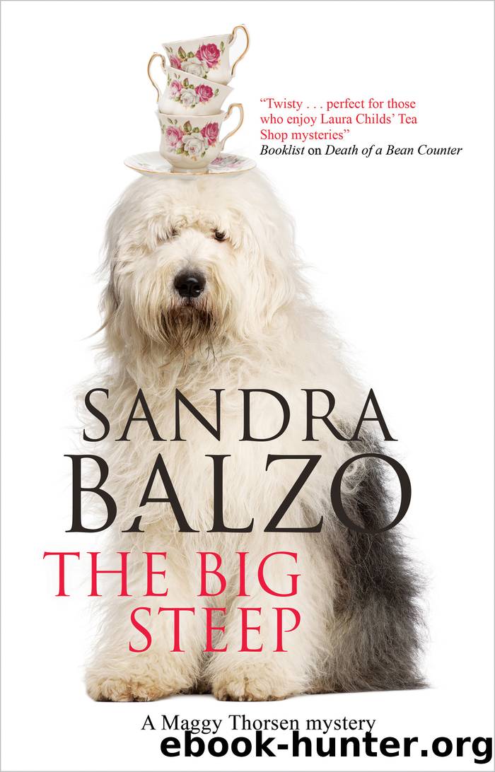 The Big Steep by Sandra Balzo