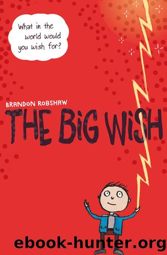 The Big Wish by Brandon Robshaw