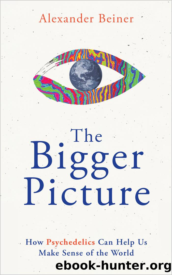 The Bigger Picture by Alexander Beiner