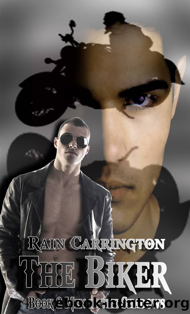 The Biker (Men in the Shadows Book 2) by Rain Carrington