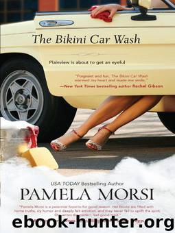 The Bikini Car Wash by Morsi Pamela