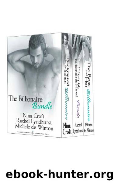 The Billionaire Bundle by Michele De Winton