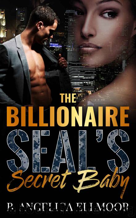 The Billionaire SEAL's Secret Baby by B. Angelica Ellmoor