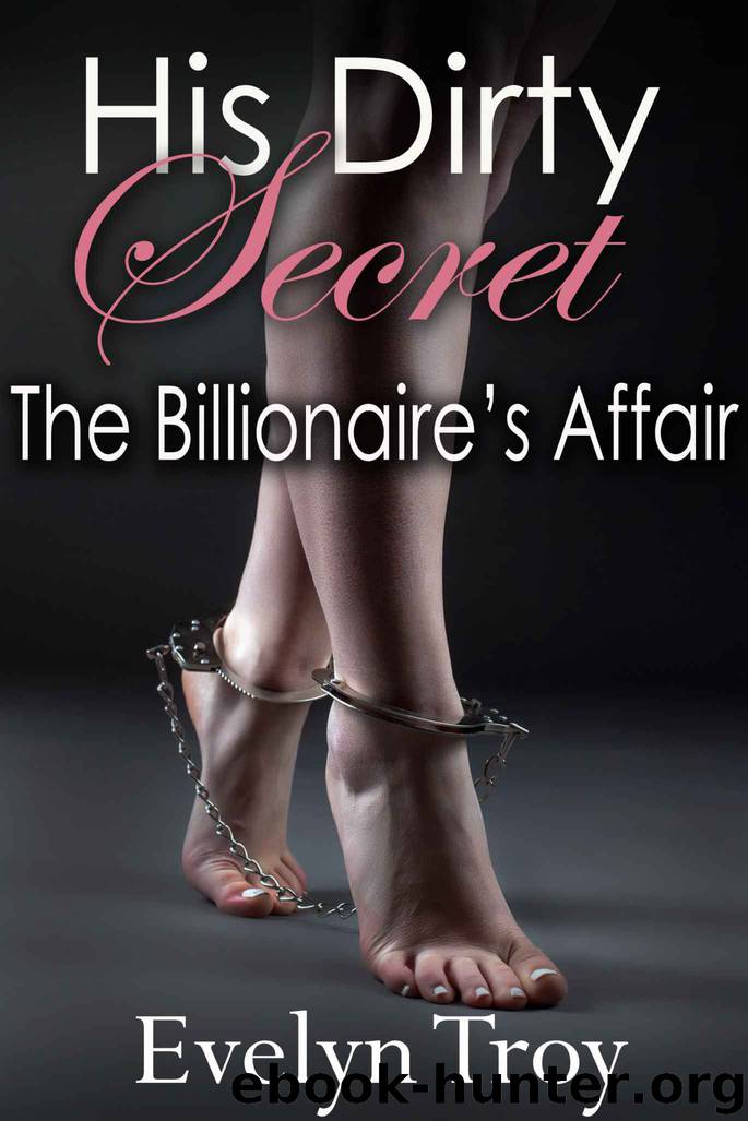 The Billionaire's Affair (His Dirty Secret Book 2) by Evelyn Troy