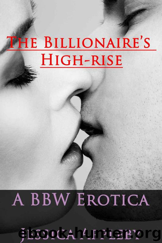 The Billionaire's High-rise: A BBW Erotica by Appleby Jessica