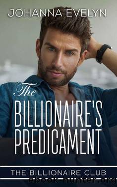 The Billionaire's Predicament by Johanna Evelyn