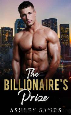 The Billionaire's Prize (The Possessive Billionaires Book 1) by Ashley Sands