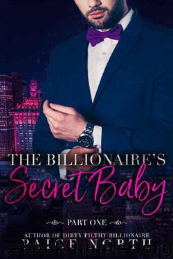 The Billionaire's Secret Baby [Part One] by Paige North