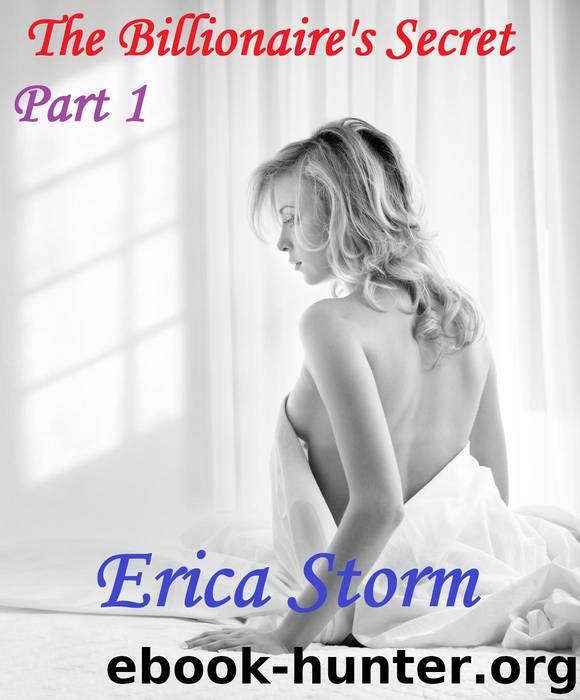 The Billionaire's Secret Part 1 by Erica Storm