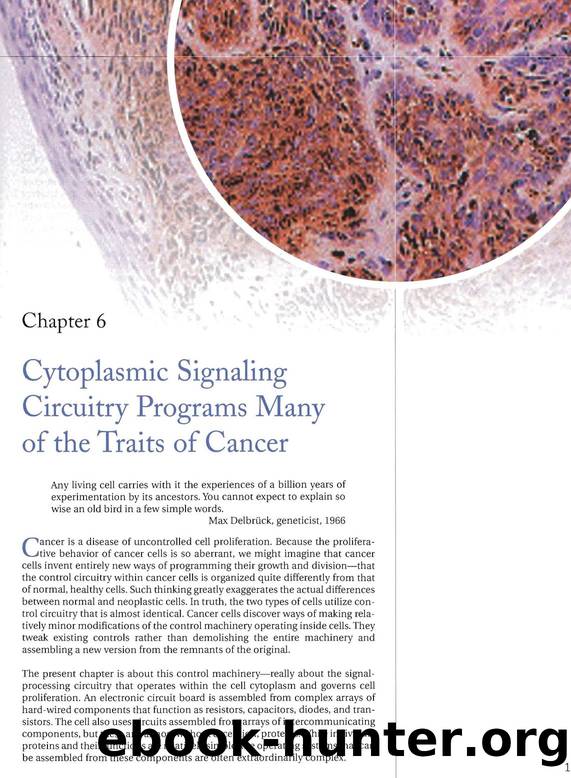 The Biology Of Cancer (2007) - Robert A. Weinberg by Ch. 06