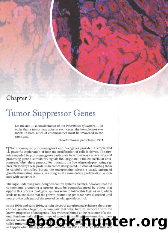 The Biology Of Cancer (2007) - Robert A. Weinberg by Ch. 07