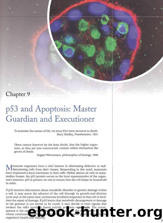 The Biology Of Cancer (2007) - Robert A. Weinberg by Ch. 09
