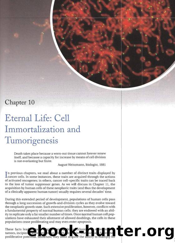 The Biology Of Cancer (2007) - Robert A. Weinberg by Ch. 10