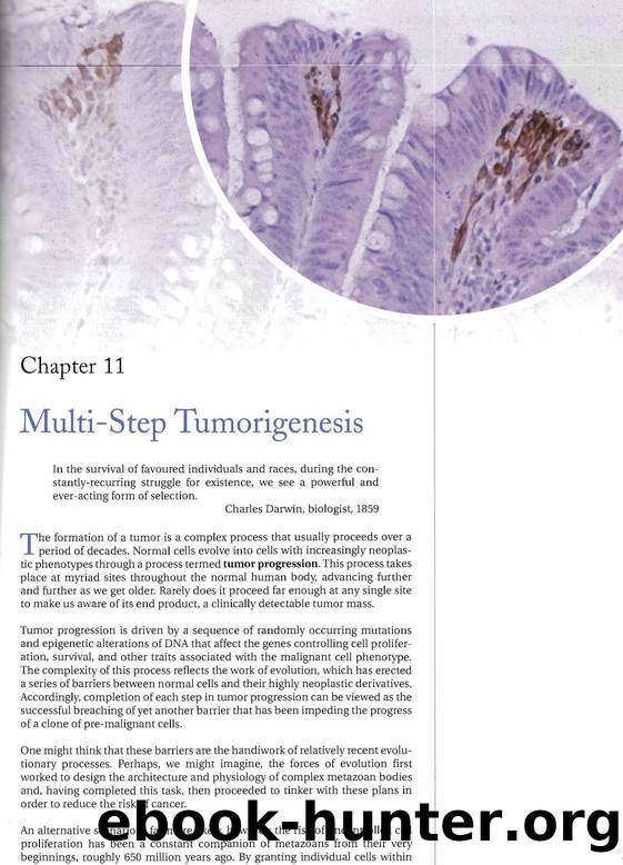 The Biology Of Cancer (2007) - Robert A. Weinberg by Ch. 11