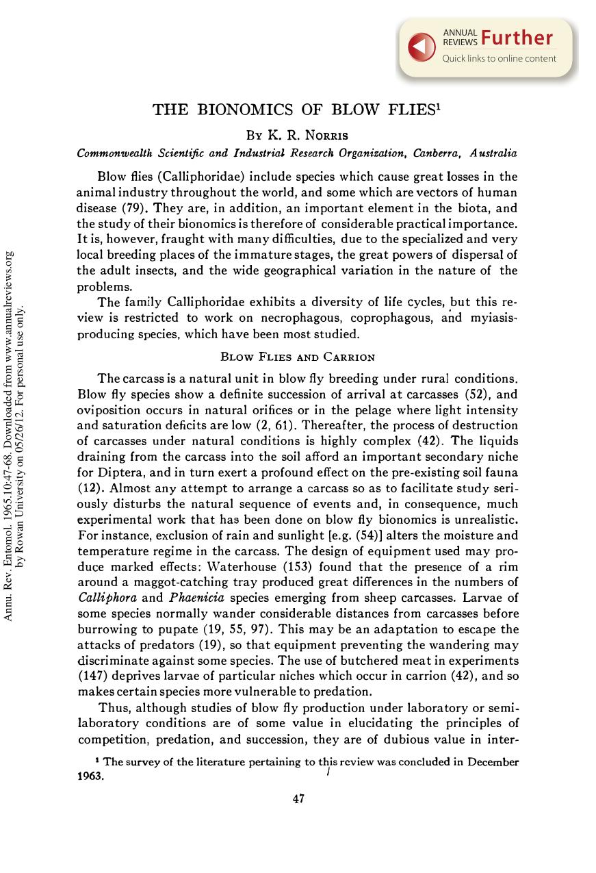 The Bionomics of Blow Flies by K R Norris