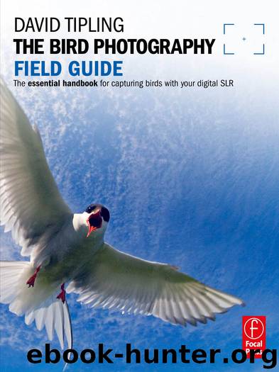 The Bird Photography Field Guide by David Tipling