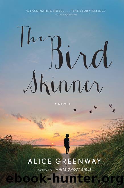 The Bird Skinner by Alice Greenway