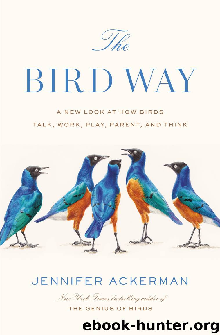 The Bird Way by Jennifer Ackerman