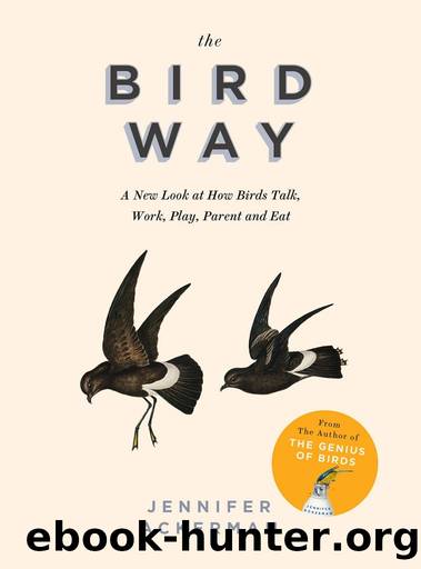 The Bird Way: A New Look at How Birds Talk, Work, Play, Parent, and Think by Jennifer Ackerman