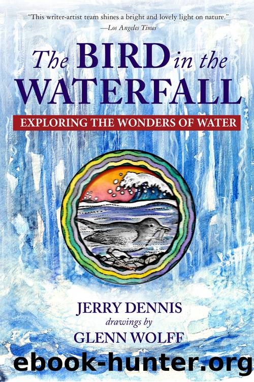 The Bird in the Waterfall: Exploring the Wonders of Water by Jerry Dennis