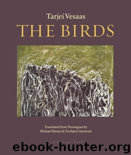 The Birds by Tarjei Vesaas