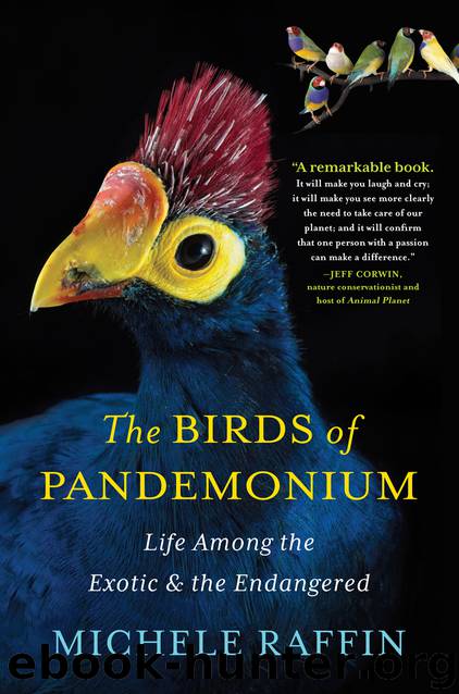 The Birds of Pandemonium by Michele Raffin
