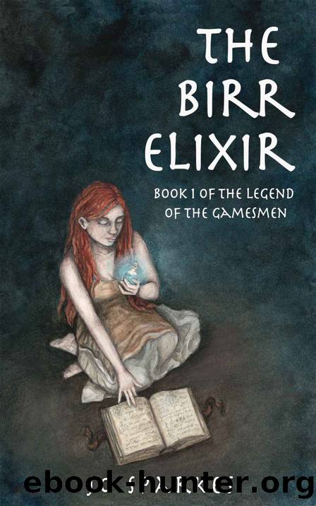 The Birr Elixir_A Fantasy Tale of Heroes, Princes, and an Apprentice's Magic Potion by Jo Sparkes