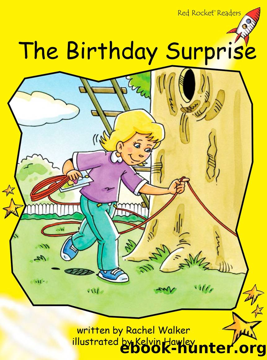 The Birthday Surprise by Rachel Walker