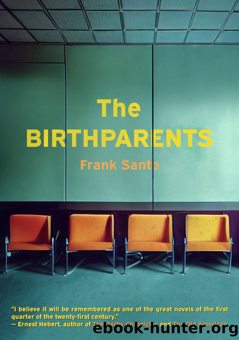 The Birthparents by Frank Santo