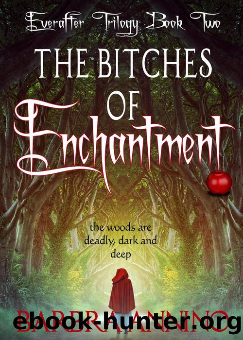 The Bitches of Enchantment--A Dark Princess Fairy Tale by Barbra Annino