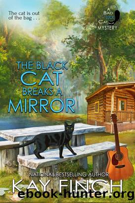 The Black Cat Breaks a Mirror by Kay Finch