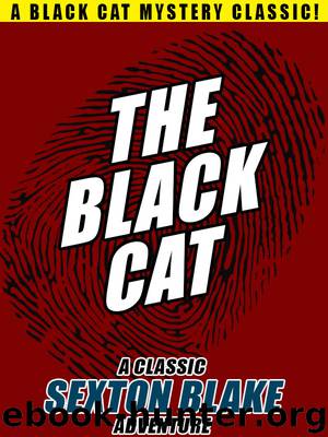 The Black Cat by Anonymous