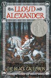 The Black Cauldron by Lloyd Alexander